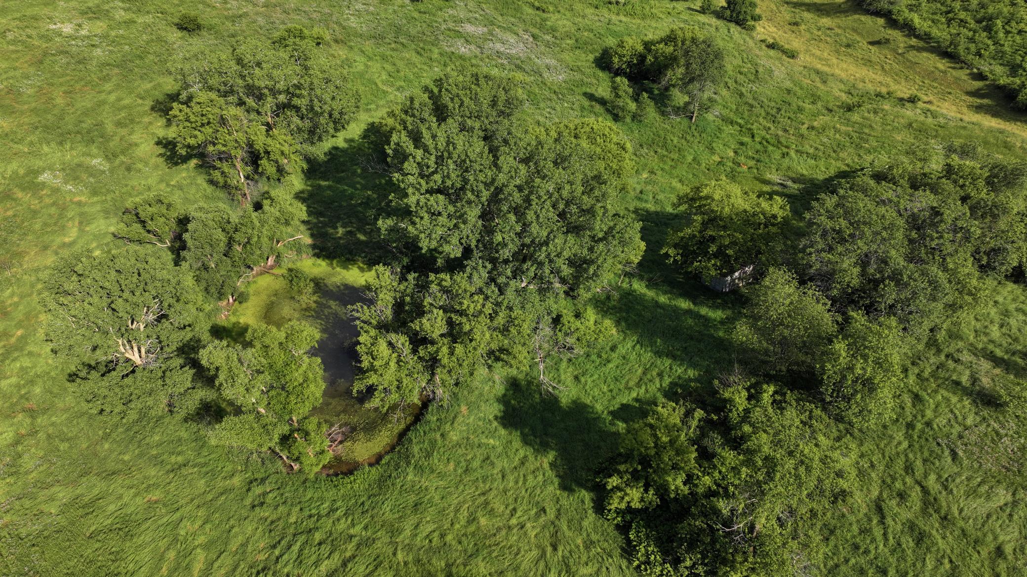 DJI_20260624171920_0779_D.JPG