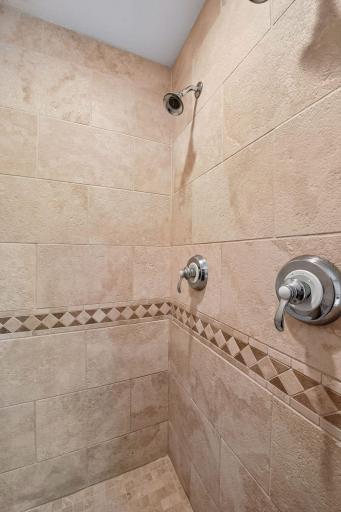 Large primary walk-in separate shower