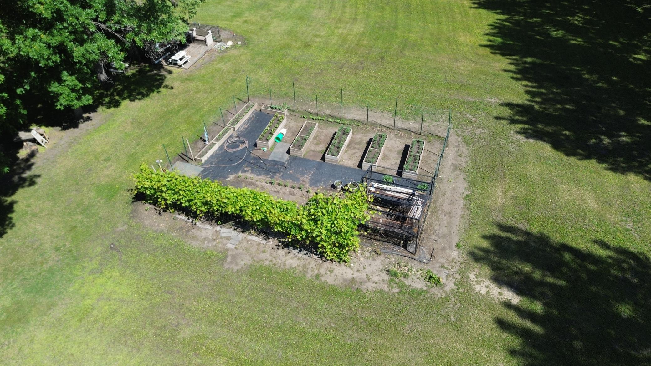 DJI_0303.JPG