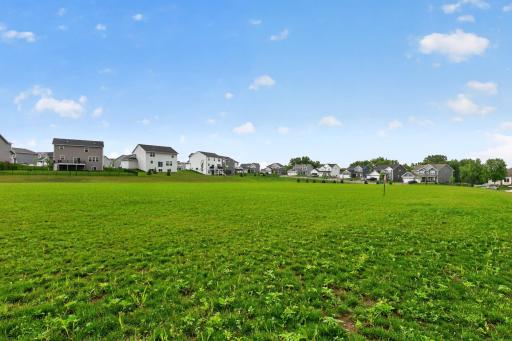 A generous open lawn at Spyglass Park offers the perfect setting for picnics, tossing a ball, flying kites, or simply enjoying the outdoors.