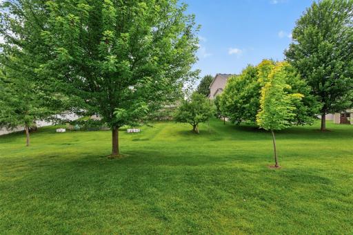 A lush, park-like setting with shade trees provides a gorgeous backdrop for recreation and relaxation.