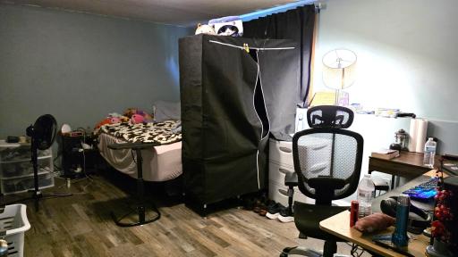 Lower level bedroom.jpg