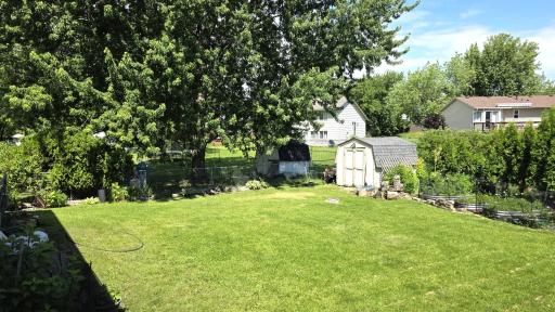 Back yard-.jpg
