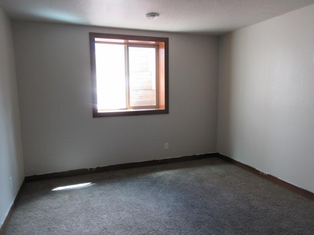 Basement Bedroom 2
