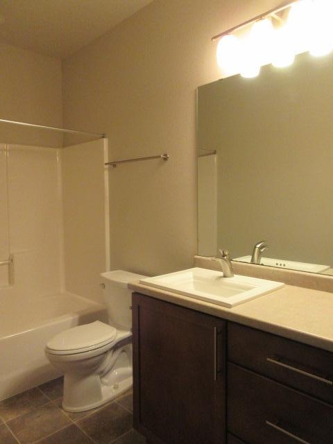 Main Floor Bathroom