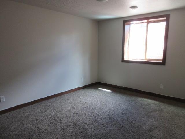 Basement Bedroom 2