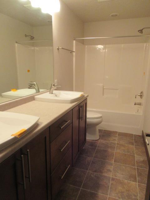 Basement Bathroom