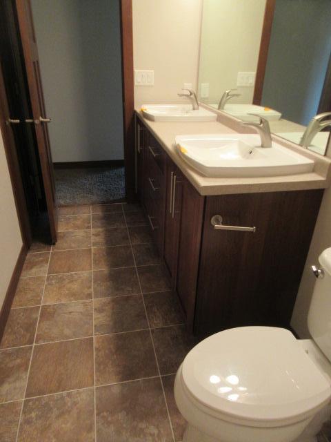 Basement Bathroom