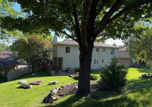 This is a wonderful backyard with mature trees and green space.