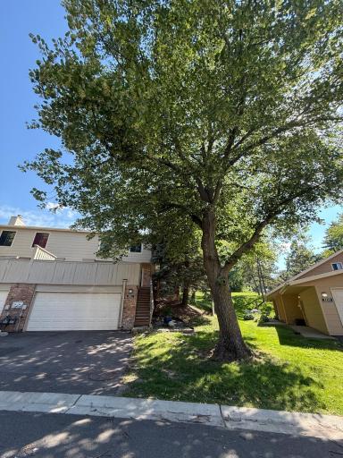 Mature trees at front and back offer shade for the home.