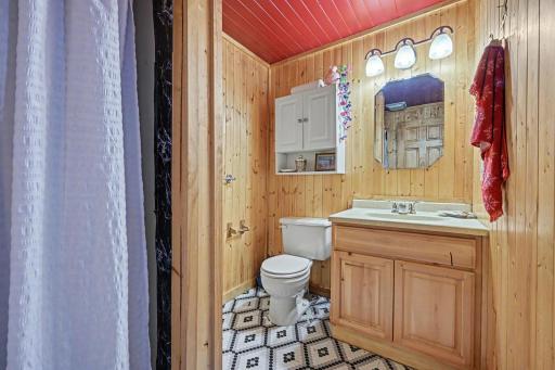 Basement Bathroom 2 Shower
