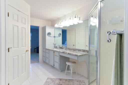 Main-level owner's bath offers an expansive vanity with abundant counter space and storage.