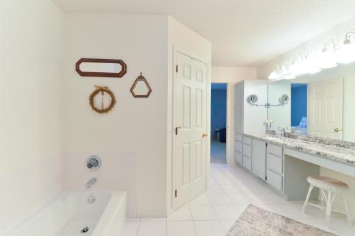 Another view of the spacious owner's bath featuring a separate tub and large vanity.