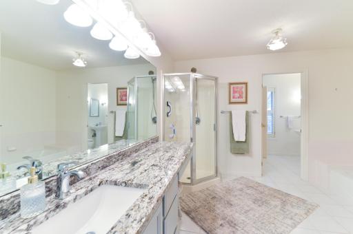 Spacious main-level owner's bath featuring a separate shower, soaking tub, and generous vanity area.