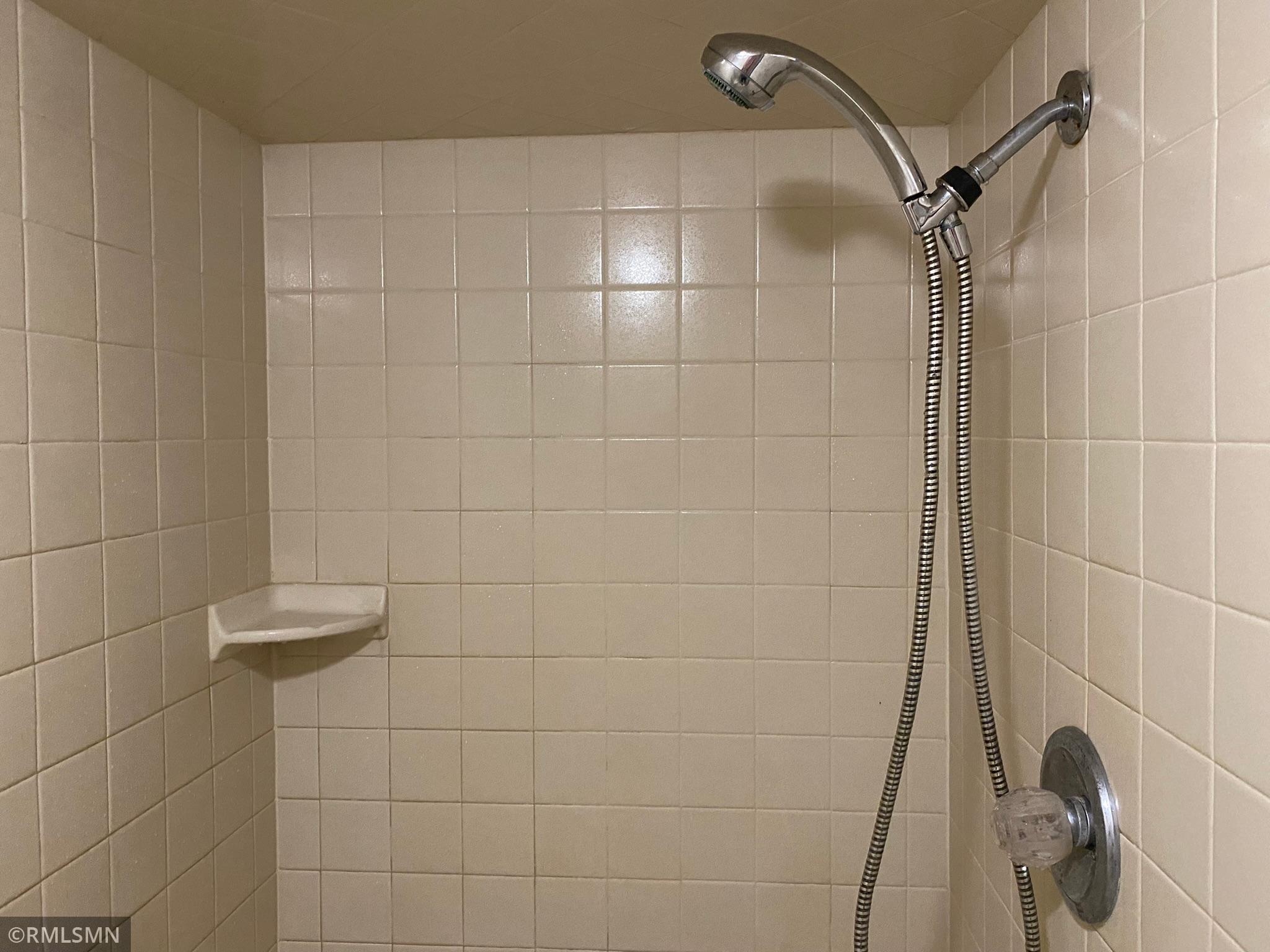Lower-Level Shower Bath
