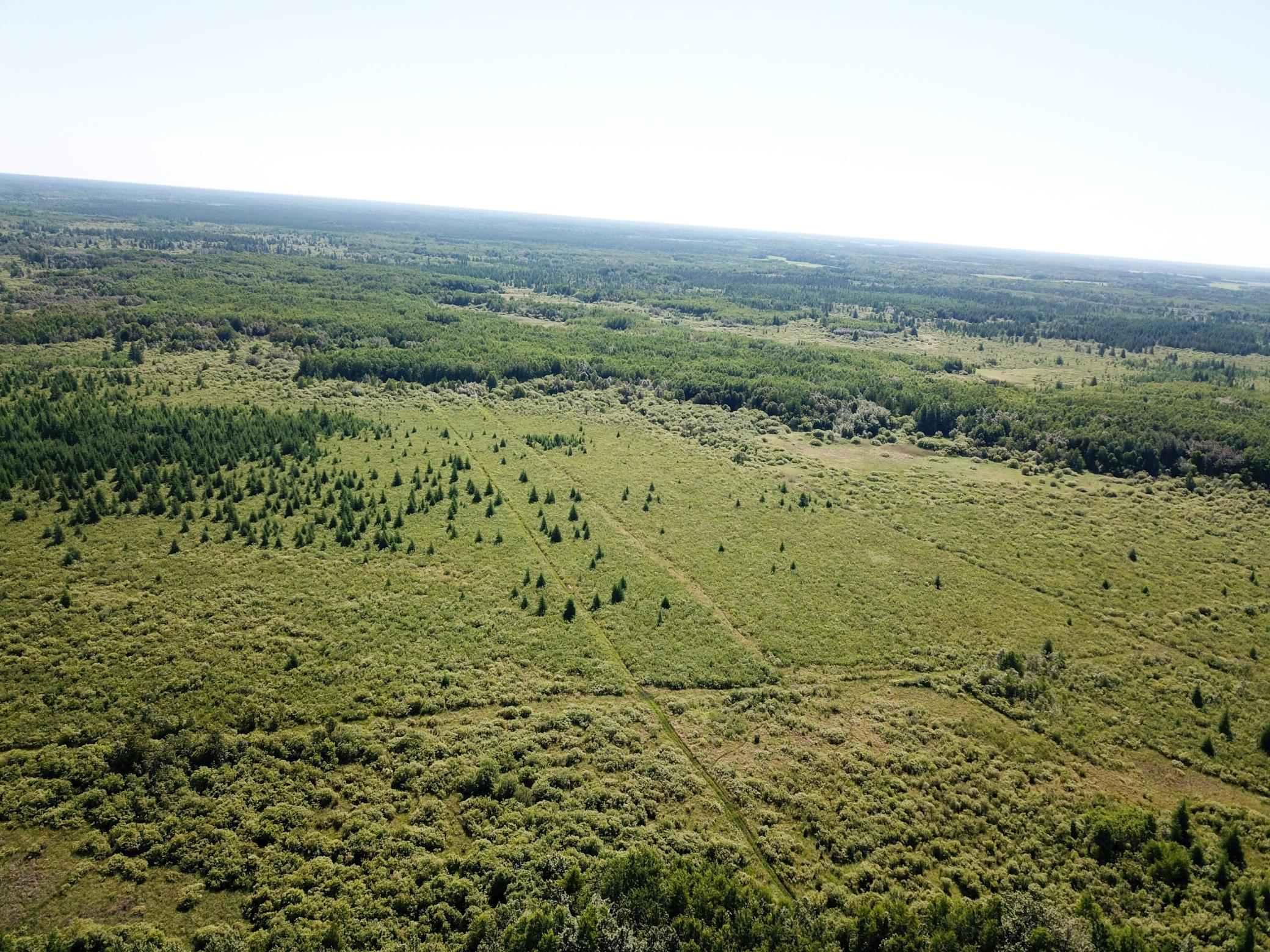 DJI_0020.JPG