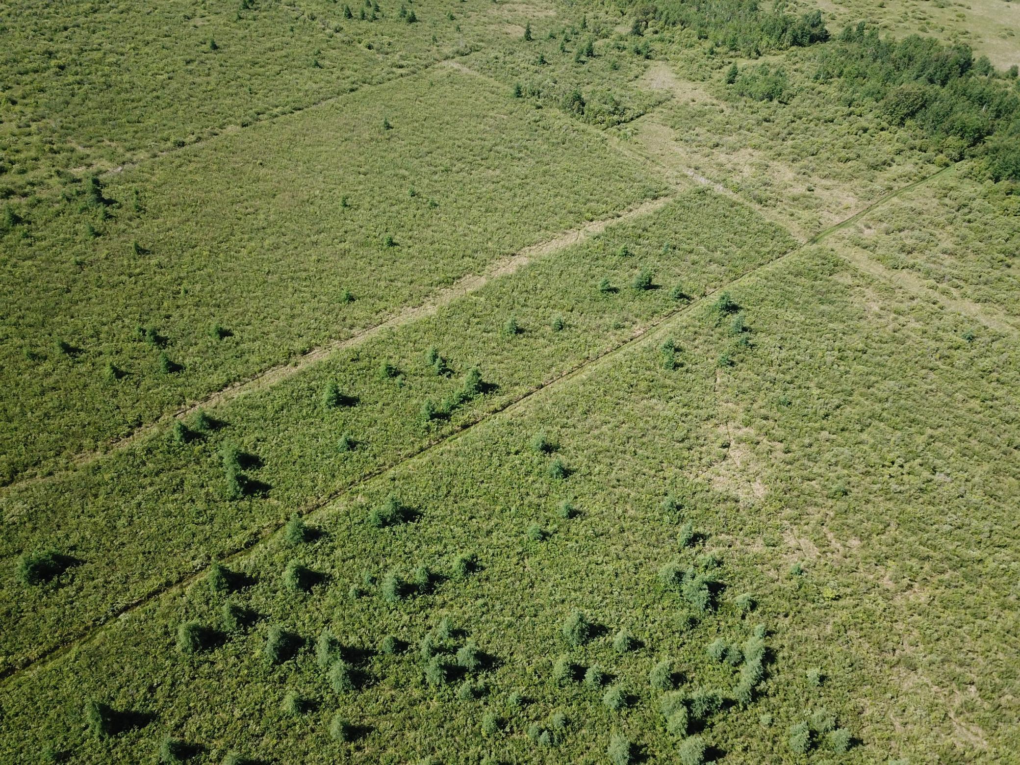 DJI_0035.JPG
