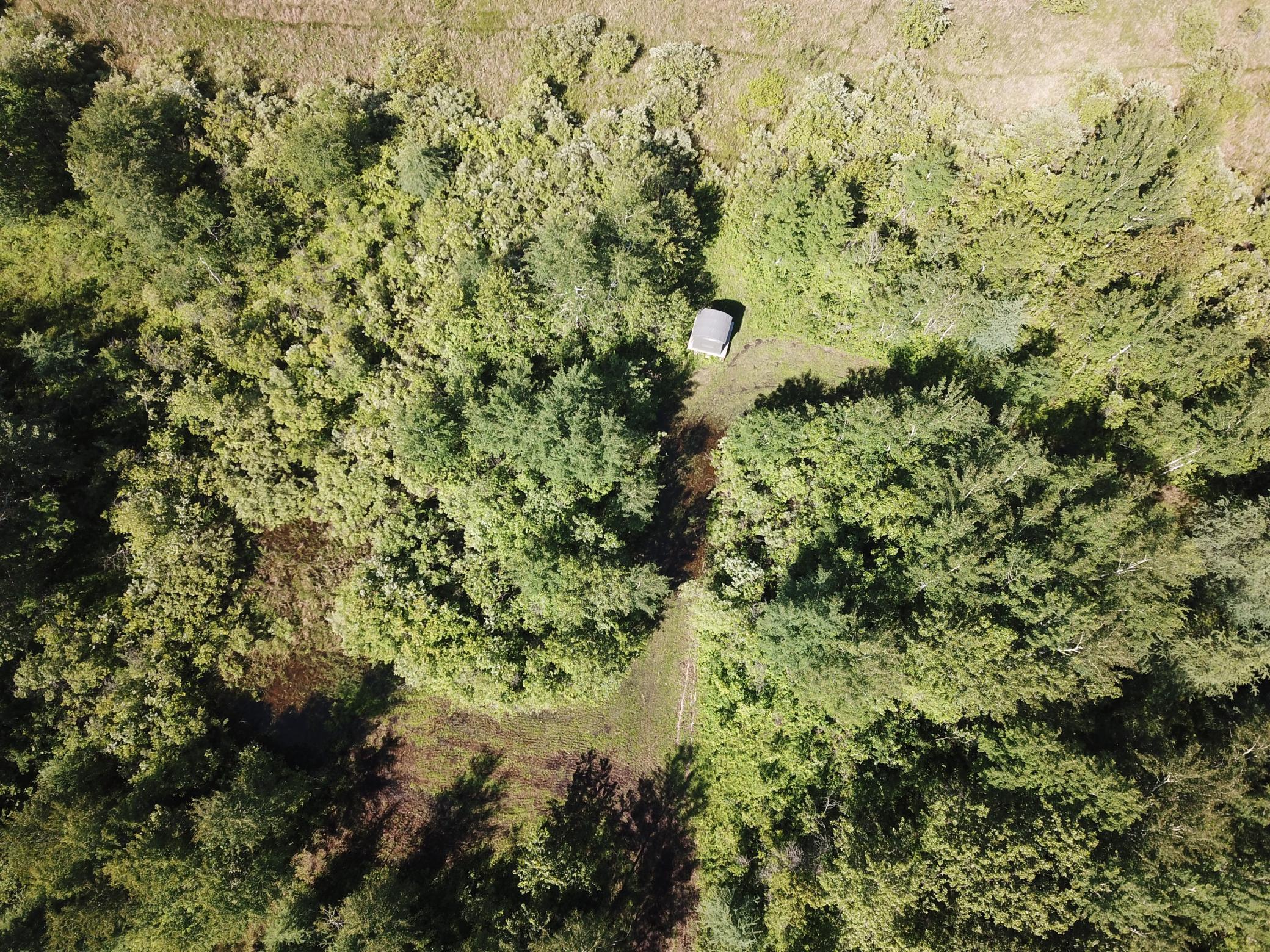 DJI_0050.JPG