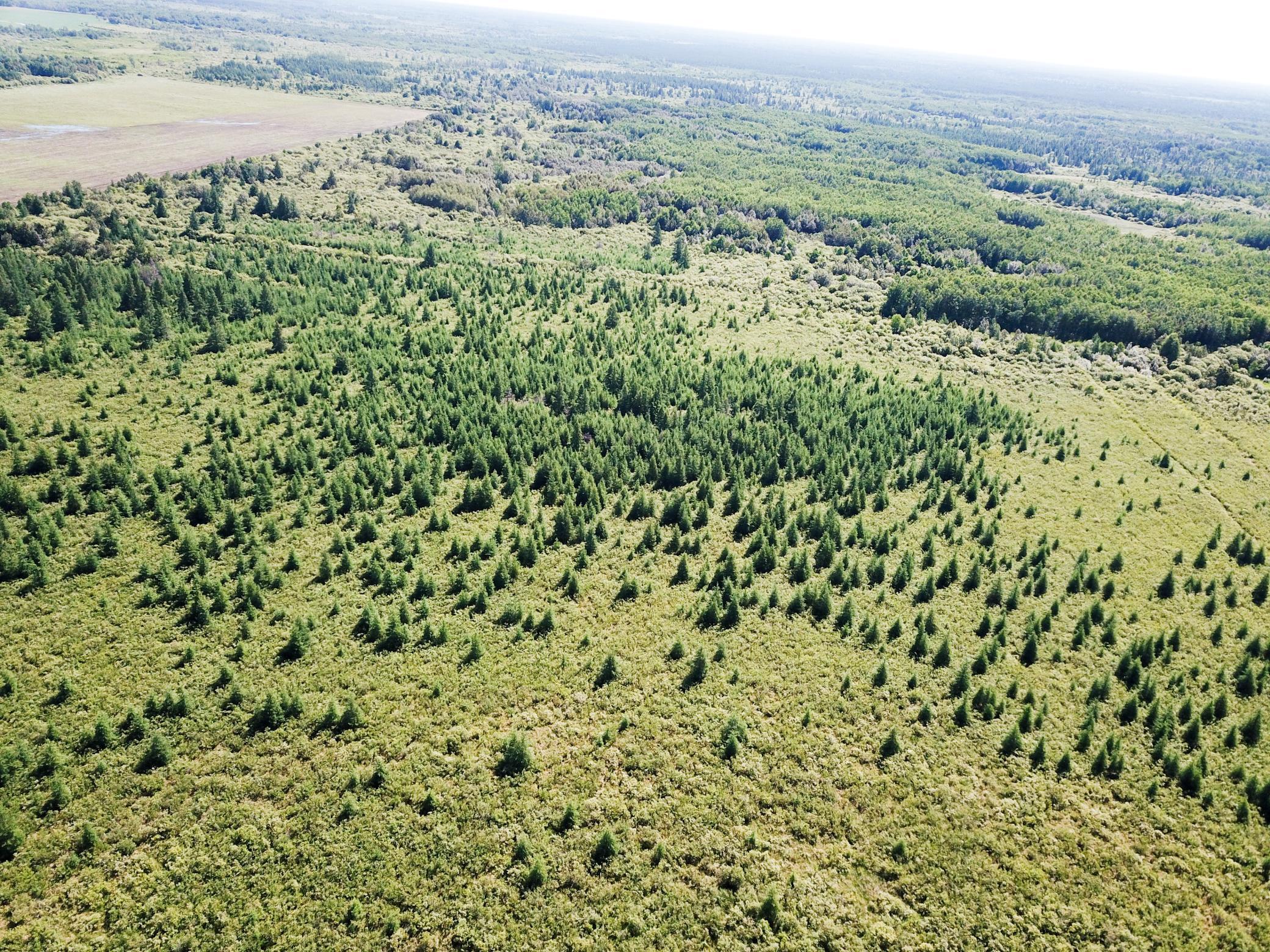 DJI_0026.JPG