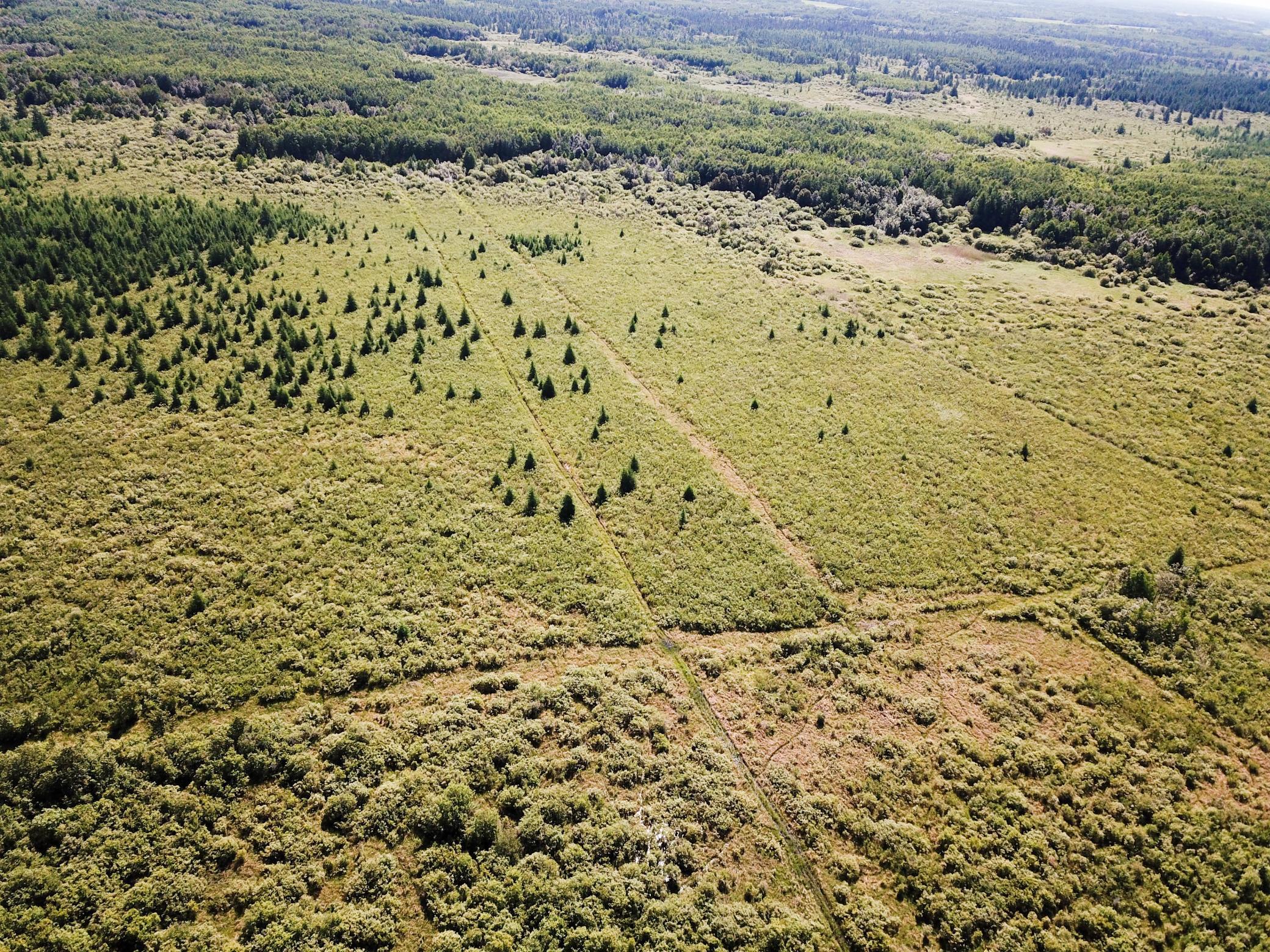 DJI_0022.JPG