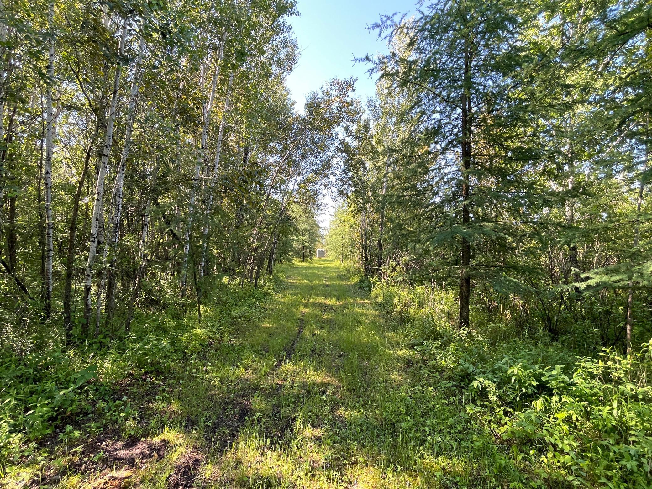 IMG_7609.JPG