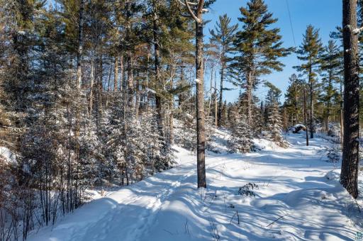 1648 Golden Ridge Trail, Ely, MN 55731
