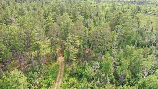 1648 Golden Ridge Trail, Ely, MN 55731