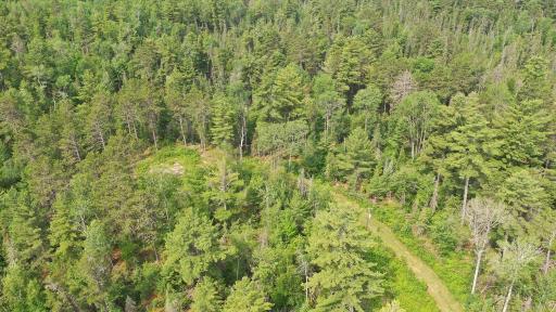 1648 Golden Ridge Trail, Ely, MN 55731