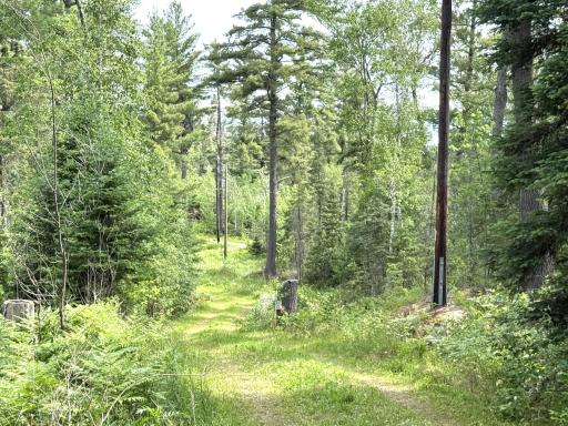 1648 Golden Ridge Trail, Ely, MN 55731