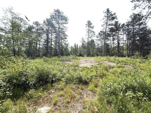 1648 Golden Ridge Trail, Ely, MN 55731
