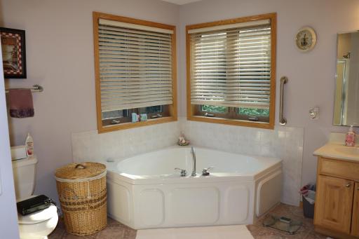 Primary bathroom has large tub and walk in shower