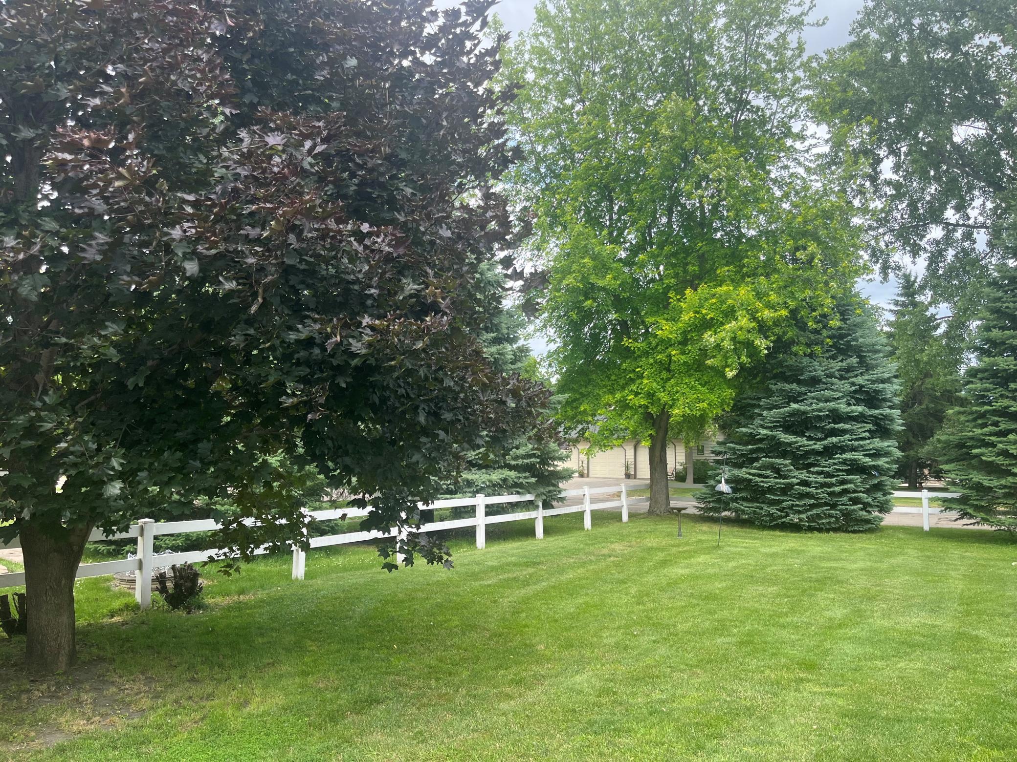 backyard fencing.jpg
