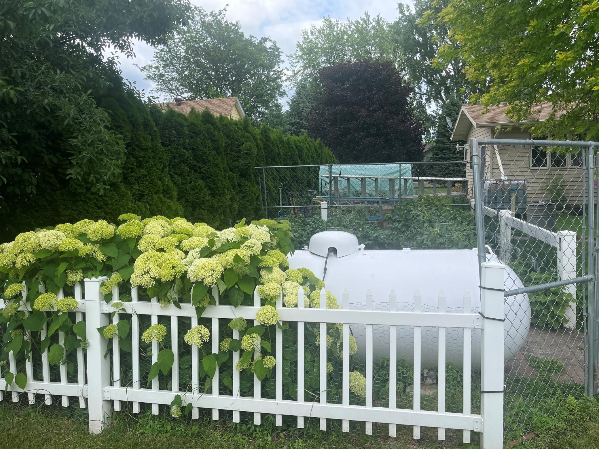 backyard LP tank and fencing.jpg