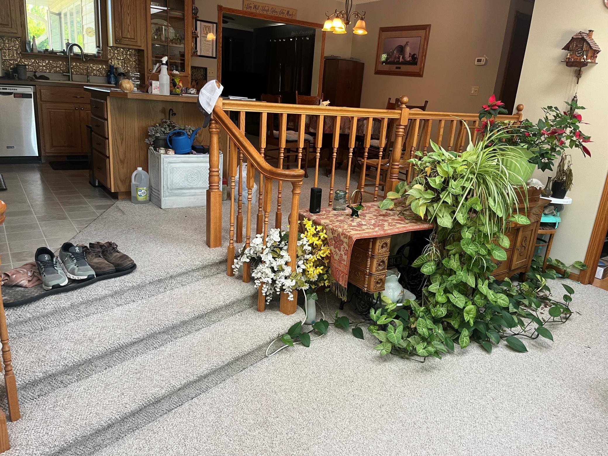 railing.jpg