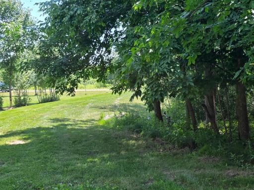 5098 177th Street, Ogilvie, MN 56358