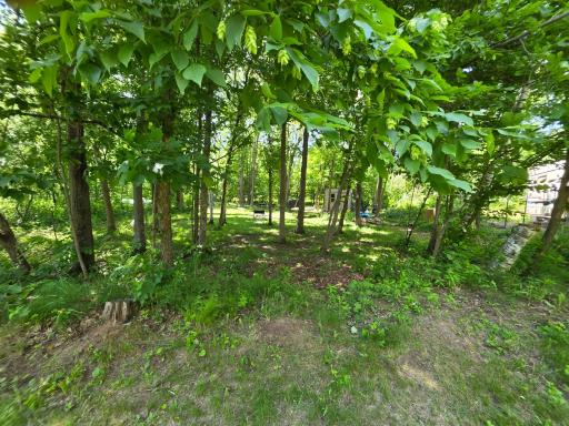 5098 177th Street, Ogilvie, MN 56358