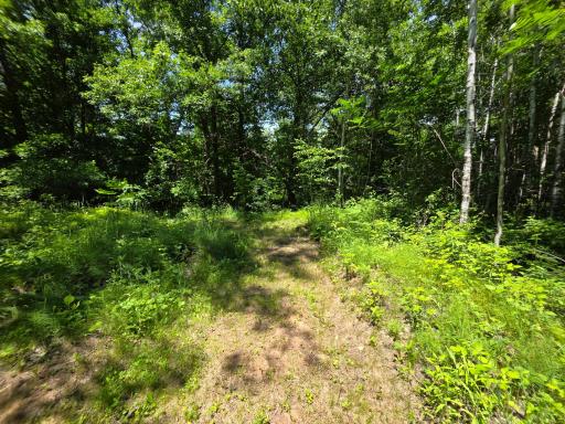 5098 177th Street, Ogilvie, MN 56358