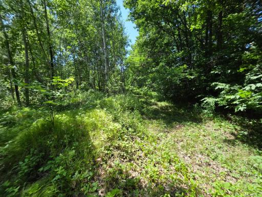 5098 177th Street, Ogilvie, MN 56358