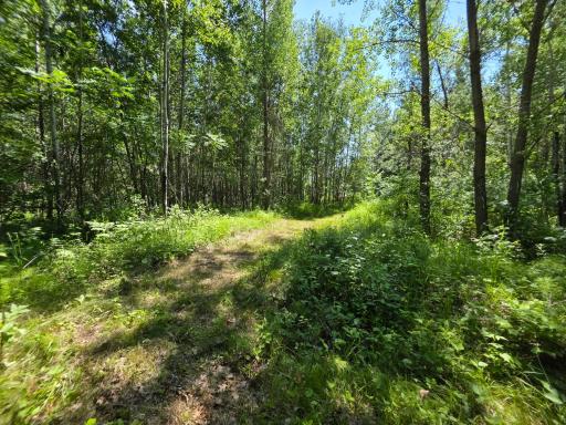 5098 177th Street, Ogilvie, MN 56358
