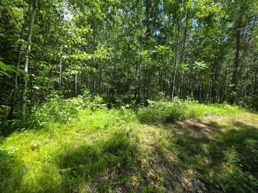 5098 177th Street, Ogilvie, MN 56358