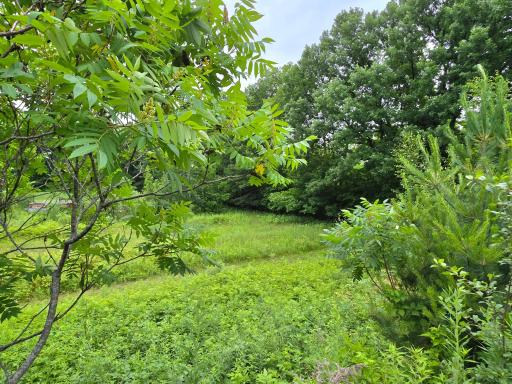 5098 177th Street, Ogilvie, MN 56358