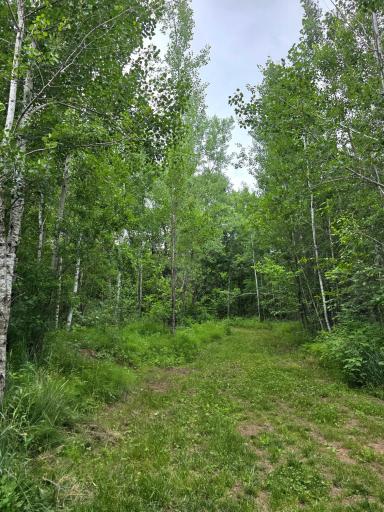 5098 177th Street, Ogilvie, MN 56358