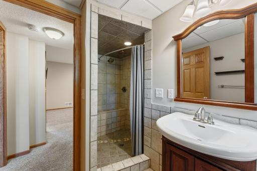 Lower Bathroom with Custom Tile Walk-in Shower