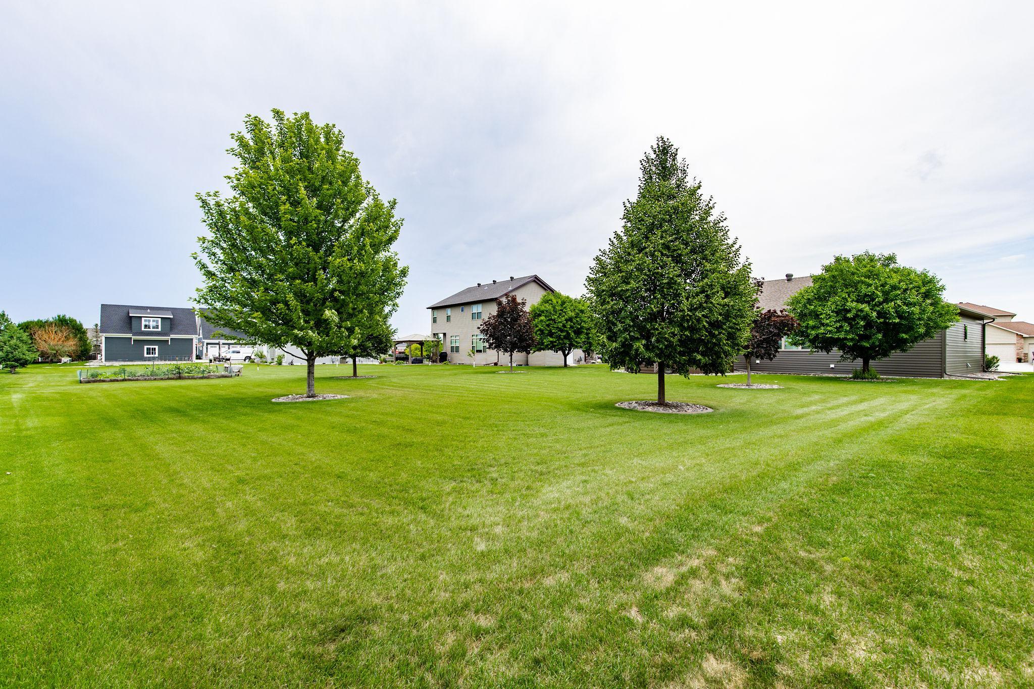 Large Backyard
