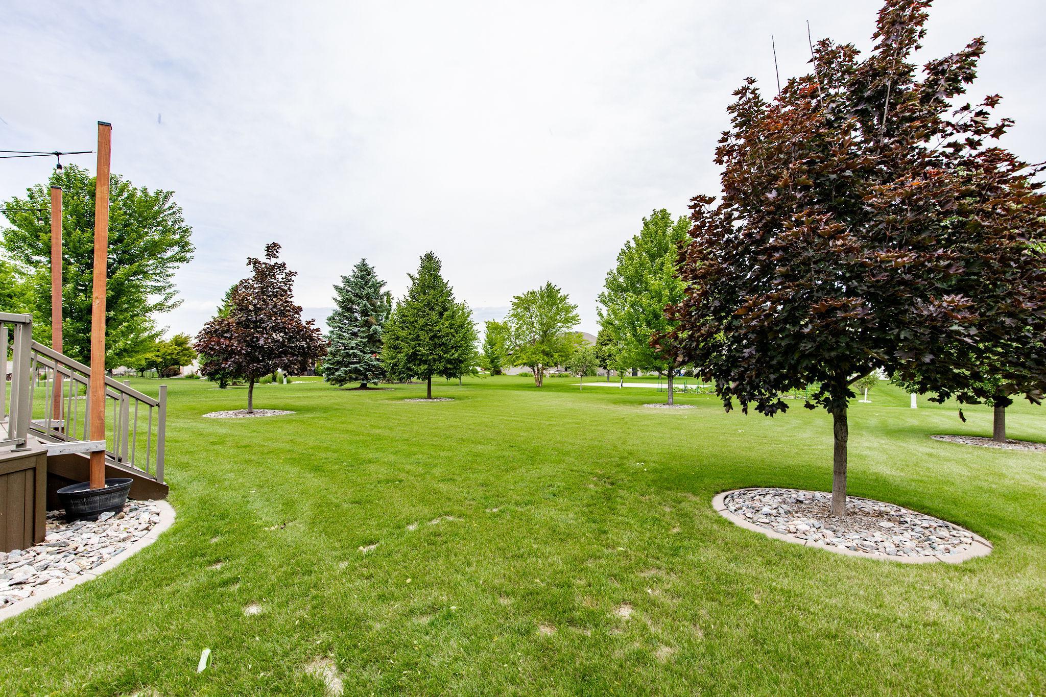 Beautiful trees
