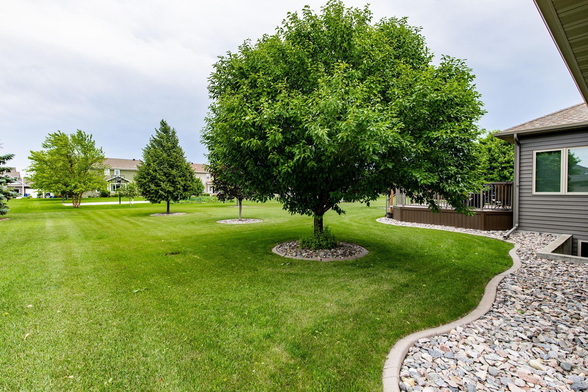Beautiful landscaping