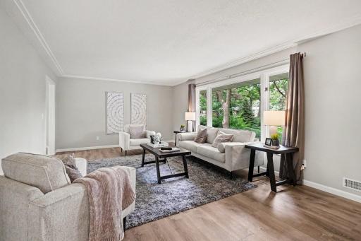 1463 Trollhagen Drive NE, Minneapolis, MN 55421