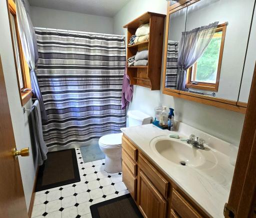 Main Level Master Bathroom