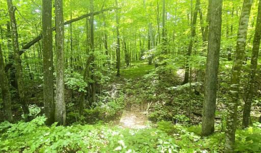 ATV Trails