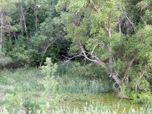 13473 Bittner Drive, Sauk Centre, MN 56378